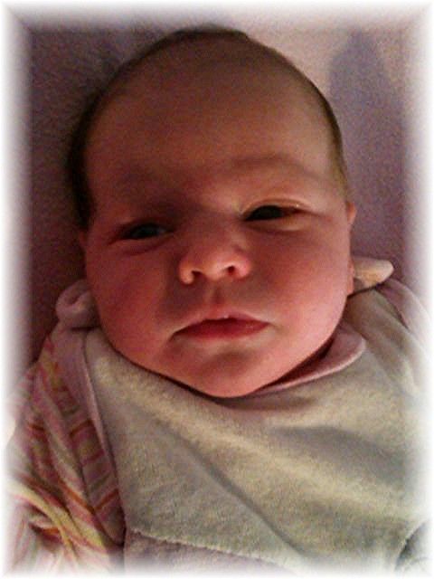 2015_003.jpg - 47470 Bytes