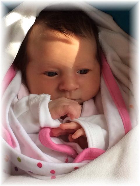 2015_004.jpg - 47470 Bytes