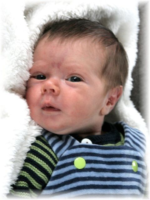 2015_005.jpg - 47470 Bytes