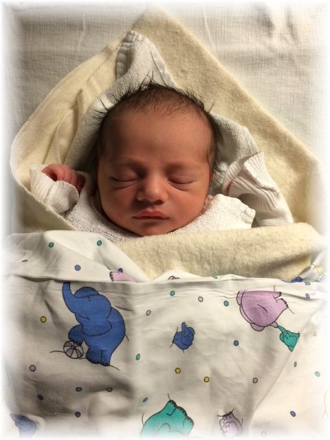 2015_007.jpg - 47470 Bytes