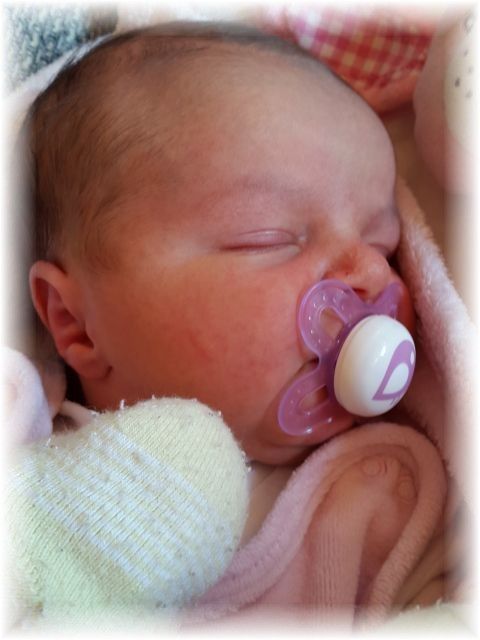 2015_008.jpg - 47470 Bytes