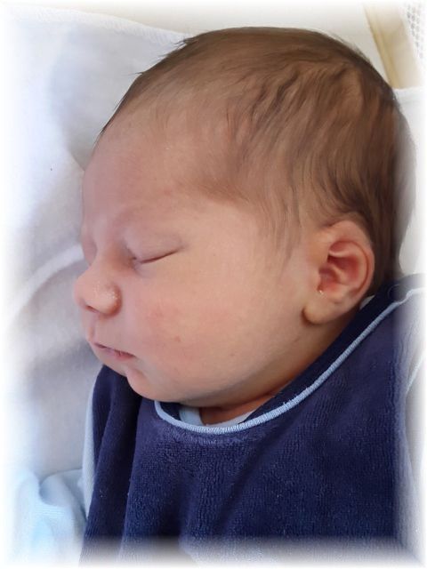 2015_009.jpg - 47470 Bytes