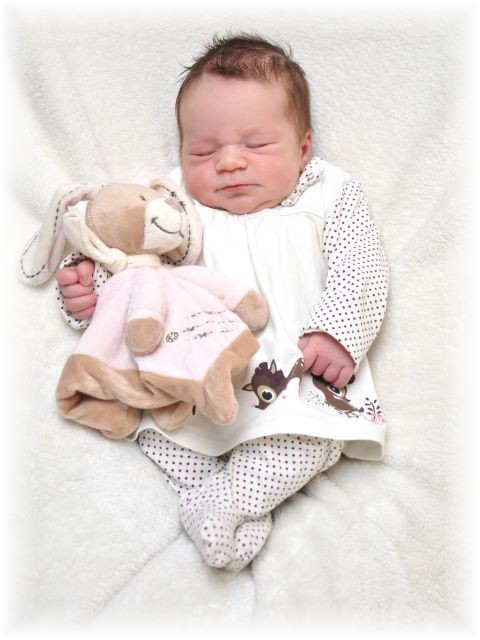 2015_019.JPG - 60155 Bytes