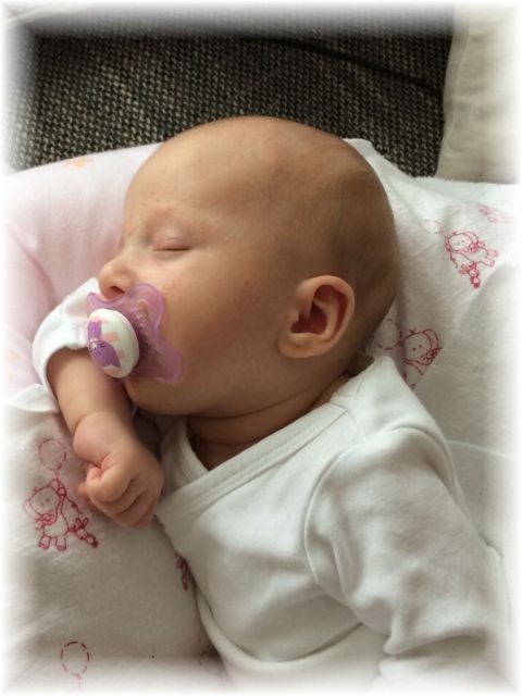 2015_022.jpg - 47470 Bytes