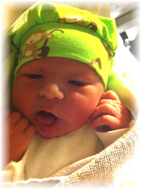 2015_025.jpg - 47470 Bytes