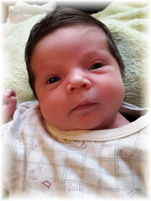 2015_027.jpg - 47470 Bytes