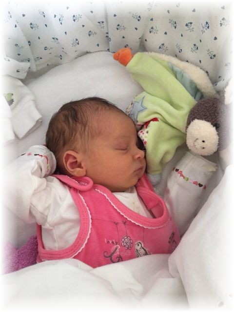 2015_031.jpg - 47470 Bytes