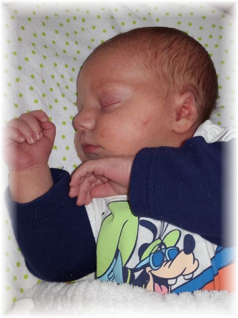 2015_032.jpg - 47470 Bytes