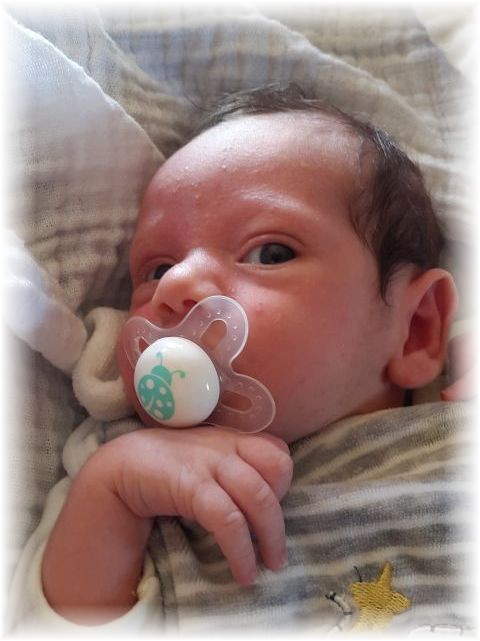 2015_033.jpg - 56983 Bytes