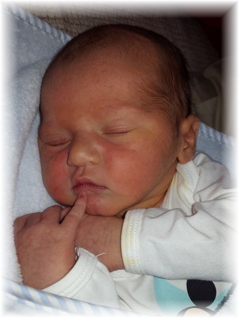 2015_034.jpg - 47470 Bytes