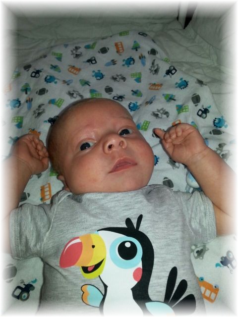 2015_035.jpg - 67879 Bytes