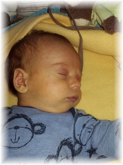 2015_041.jpg - 67879 Bytes