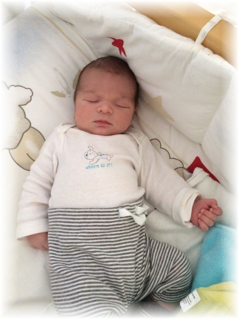 2015_042.jpg - 67879 Bytes