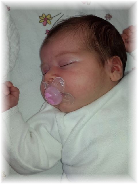 2015_043.jpg - 67879 Bytes