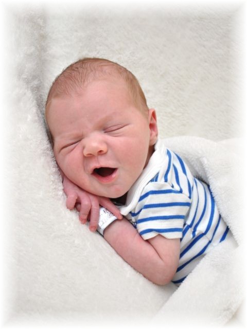 2015_046.jpg - 67879 Bytes