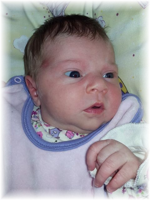 2015_048.jpg - 67879 Bytes