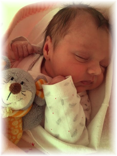 2015_052.jpg - 67879 Bytes