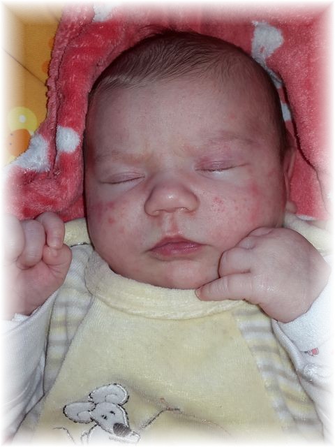 2015_053.jpg - 67879 Bytes