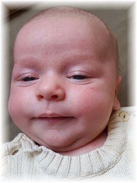 2015_056.jpg - 67879 Bytes