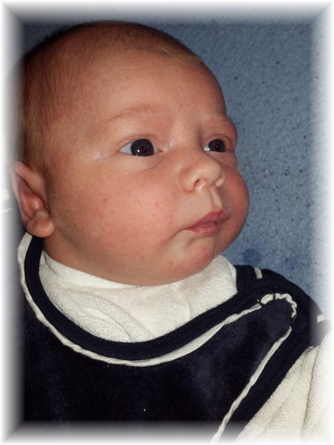 2015_057.jpg - 67879 Bytes