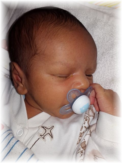 2015_060.jpg - 67879 Bytes