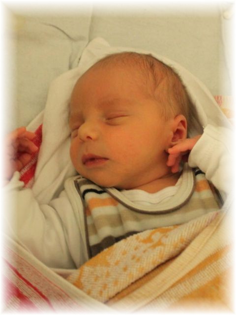 2015_061.jpg - 67879 Bytes