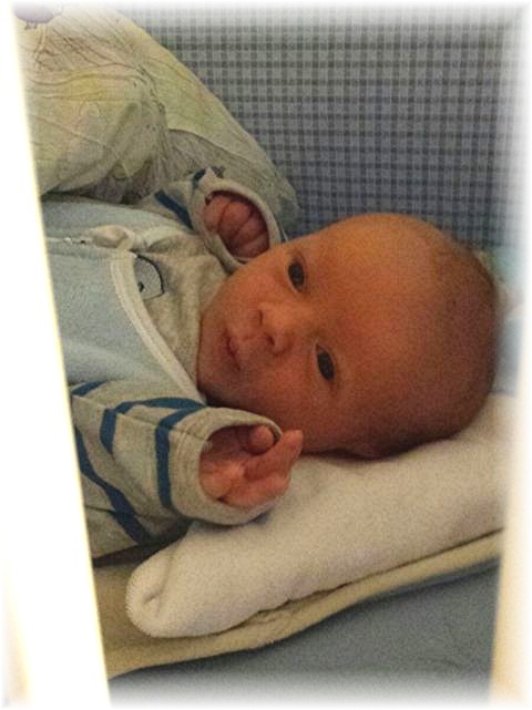 2015_064.jpg - 67879 Bytes