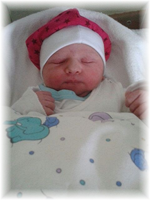 2015_066.jpg - 67879 Bytes