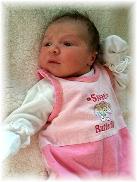 2015_067.jpg - 58414 Bytes