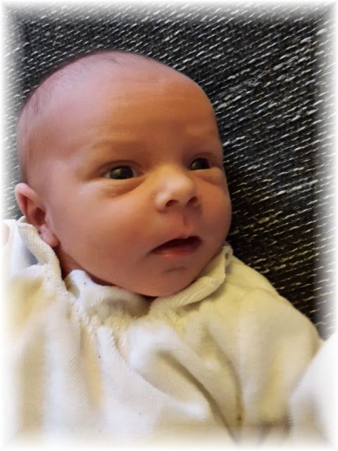 001_2016.jpg - 65250 Bytes