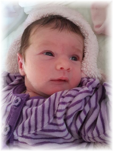 002_2016.jpg - 65250 Bytes