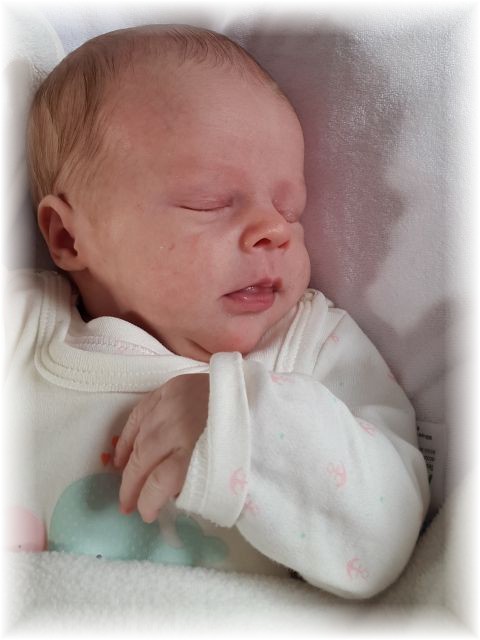 004_2016.jpg - 65250 Bytes