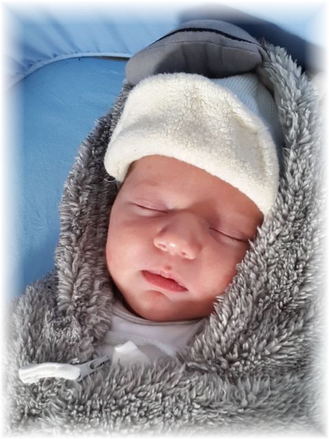 005_2016.jpg - 65250 Bytes