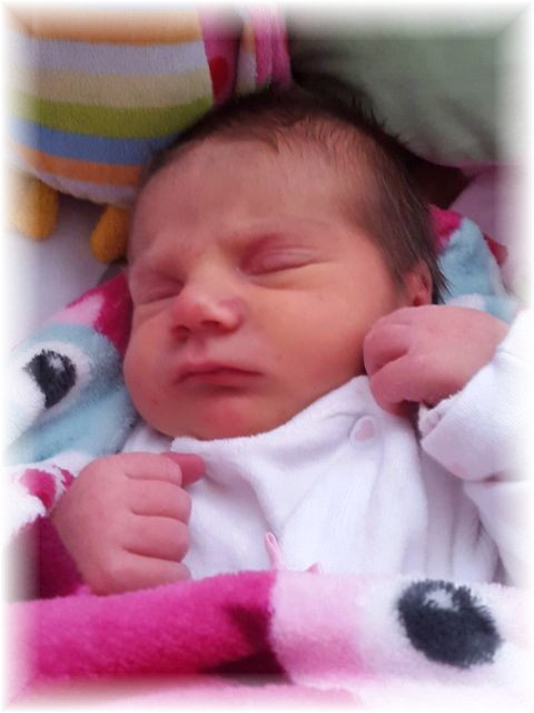 007_2016.jpg - 65250 Bytes