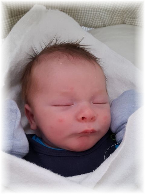 009_2016.jpg - 65250 Bytes