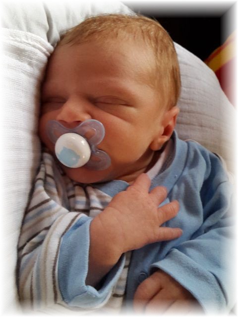 010_2016.jpg - 65250 Bytes