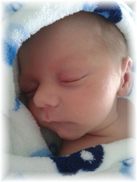 012_2016.jpg - 65250 Bytes