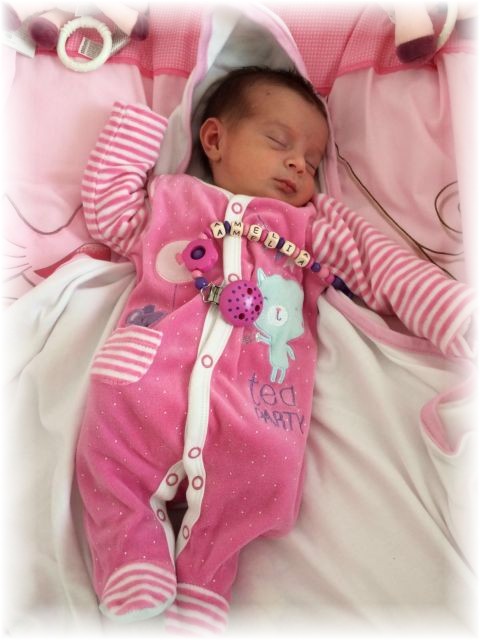 015_2016.jpg - 65250 Bytes