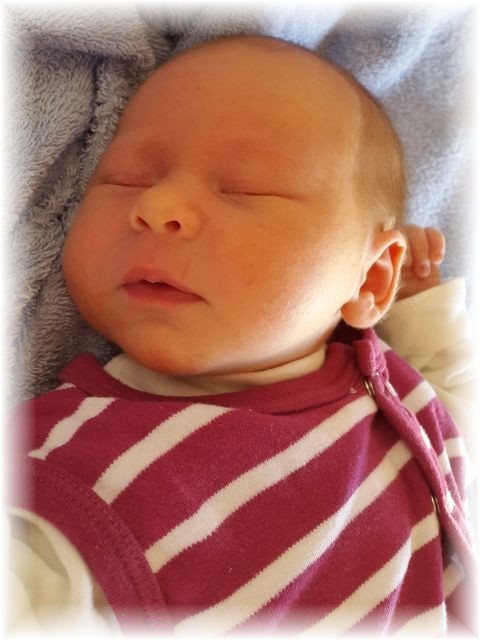 016_2016.jpg - 65250 Bytes