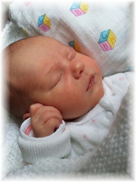 018_1_2016.jpg - 52092 Bytes