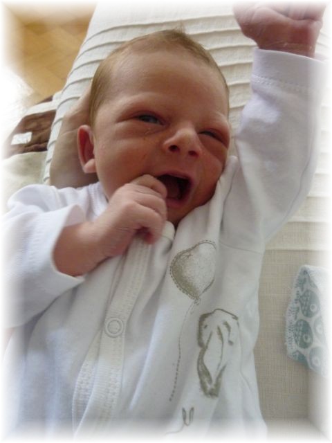 021_2016.jpg - 65250 Bytes