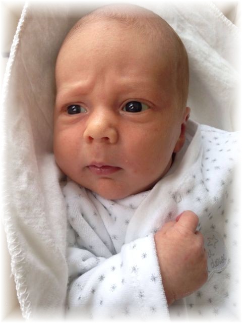 023_2016.jpg - 65250 Bytes