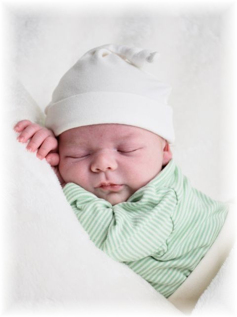 024_2016.jpg - 65250 Bytes