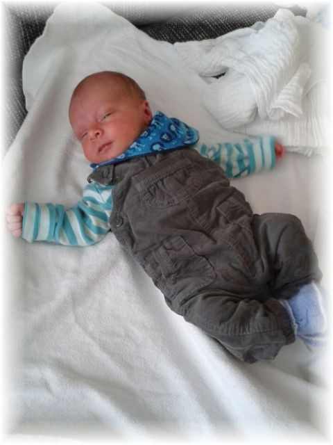 030_2016.jpg - 65250 Bytes