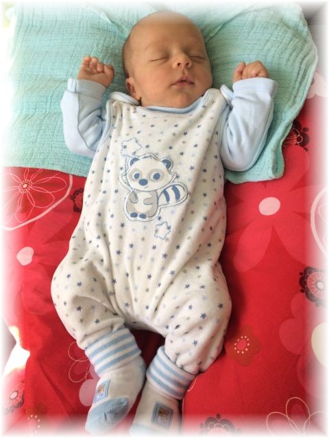 031_2016.jpg - 65250 Bytes