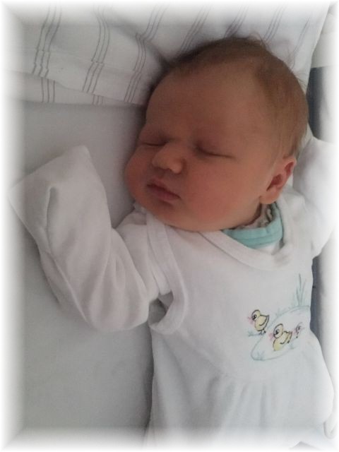 034_2016.jpg - 65250 Bytes