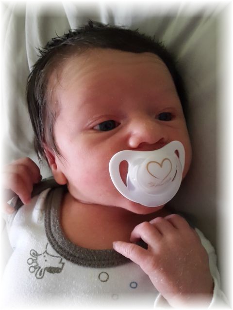 035_2016.jpg - 65250 Bytes