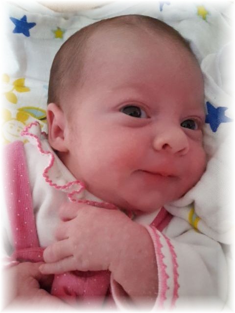 036_2016.jpg - 65250 Bytes