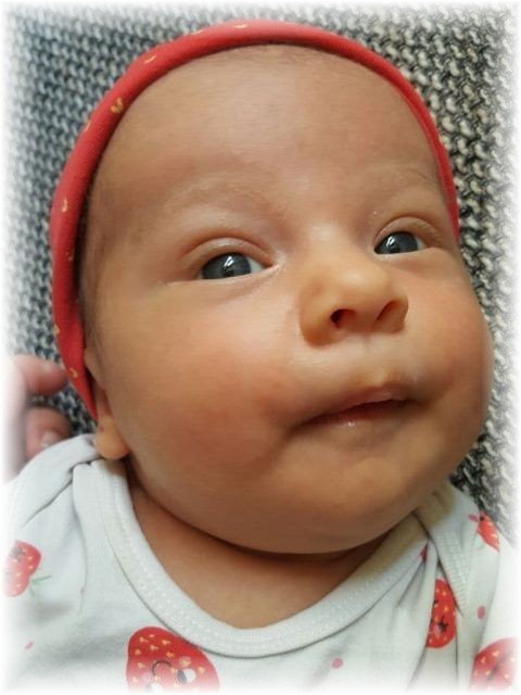 038_2016.jpg - 57975 Bytes