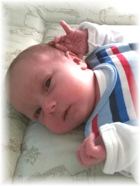 040_2016.jpg - 57975 Bytes